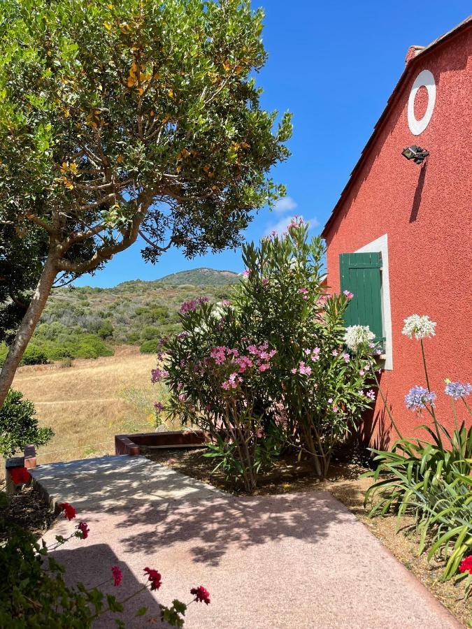 Ferienwohnung Nuit Calme Sur Domaine Calcatoggio  Exterior foto