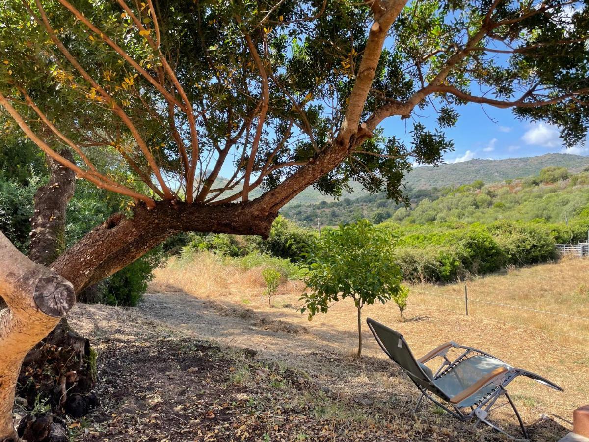 Ferienwohnung Nuit Calme Sur Domaine Calcatoggio  Exterior foto